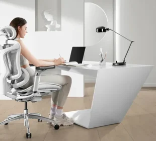 Ergonomic Furniture